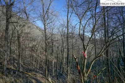 Tbd Scenic Acres, Blowing Rock, NC 28605 - Photo 4