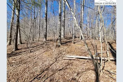 Tbd Twin Rivers Drive, Boone, NC 28607 - Photo 4