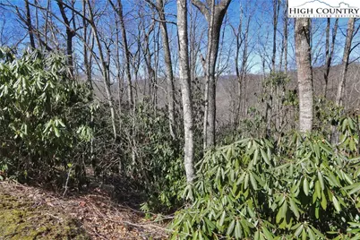 Lots 47 & 48 Abaco Drive, Vilas, NC 28692 - Photo 10