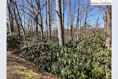 Lots 47 & 48 Abaco Drive, Vilas, NC 28692 - Photo 12