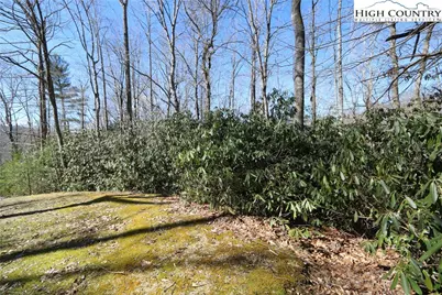 Lots 47 & 48 Abaco Drive, Vilas, NC 28692 - Photo 24