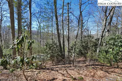 Lots 47 & 48 Abaco Drive, Vilas, NC 28692 - Photo 4