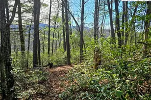 Tbd Summit Rise Dr, Boone, NC 28607 - Photo 1