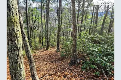 Tbd Summit Rise Drive, Boone, NC 28607 - Photo 6