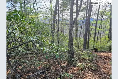 Tbd Summit Rise Drive, Boone, NC 28607 - Photo 2
