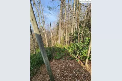 Tbd Poplar Ridge Road, Boone, NC 28607 - Photo 1
