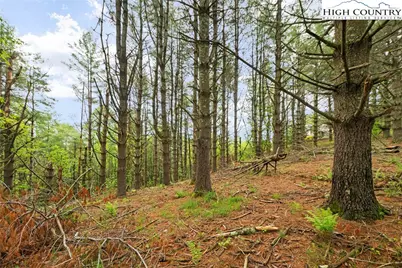 Lots 20 & 21 Noble Drive, Fleetwood, NC 28626 - Photo 6