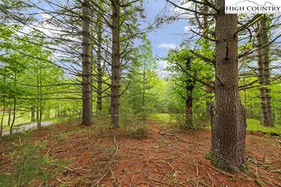 Lots 20 & 21 Noble Drive, Fleetwood, NC 28626 - Photo 2