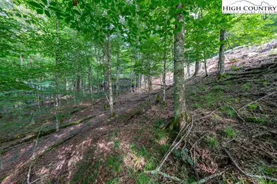 907 Charter Hills Road, Beech Mountain, NC 28604 - Photo 14