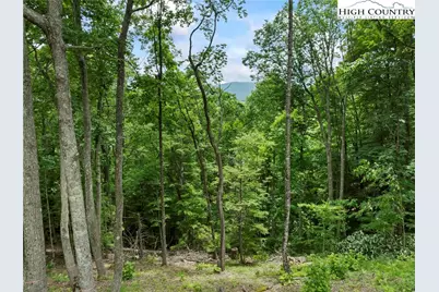 Wr44 6964 Beech Mountain Road, Elk Park, NC 28622 - Photo 2