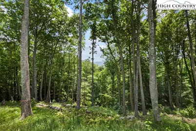 Wr44 6964 Beech Mountain Road, Elk Park, NC 28622 - Photo 6