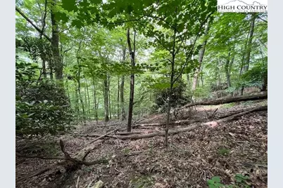 Tbd Locust Point Drive, Boone, NC 28607 - Photo 8