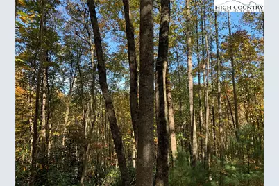 Lot# 556 Timber Rock Drive, Lenoir, NC 28645 - Photo 6