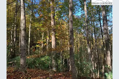 Lot# 556 Timber Rock Drive, Lenoir, NC 28645 - Photo 8