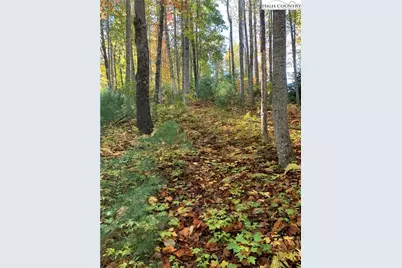 Lot# 556 Timber Rock Drive, Lenoir, NC 28645 - Photo 4