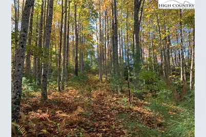 Lot# 556 Timber Rock Drive, Lenoir, NC 28645 - Photo 2