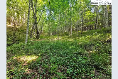 Tbd Immaculate Heart Way, Lansing, NC 28643 - Photo 2
