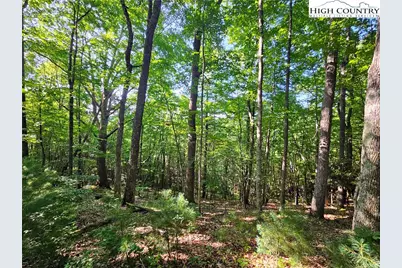 Tbd Immaculate Heart Way, Lansing, NC 28643 - Photo 6
