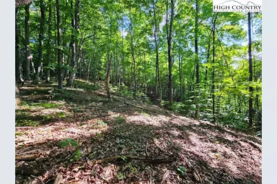 Tbd Immaculate Heart Way, Lansing, NC 28643 - Photo 4