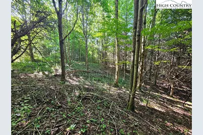 Tbd Immaculate Heart Way, Lansing, NC 28643 - Photo 8