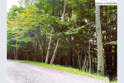 116 Aster Trail, Beech Mountain, NC 28604 - Photo 1