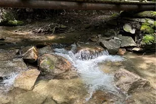 Lots 1 2 & 3 Woodland Waters and 101 Indian Trail, Beech Mountain, NC 28604 - Photo 1