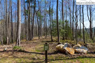 27 Wilderness Reserve Pkwy, Deep Gap, NC 28618 - Photo 1