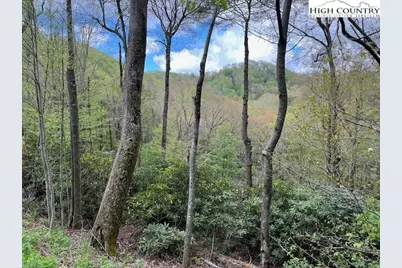 129 & 130 Firethorn Trail, Blowing Rock, NC 28605 - Photo 2