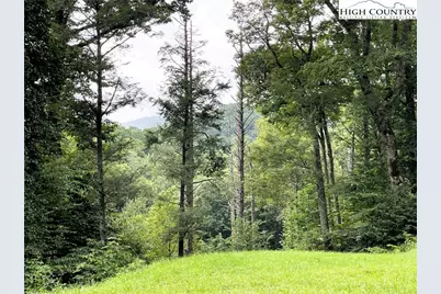 129 & 130 Firethorn Trail, Blowing Rock, NC 28605 - Photo 8