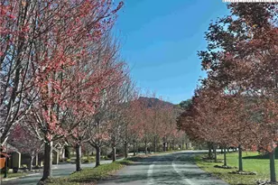 Lot 9 Running Bear Circle, Banner Elk, NC 28604 - Photo 20