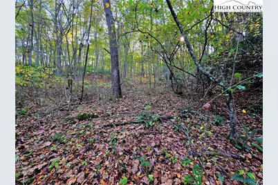 Lot 31 Riverstone, Laurel Springs, NC 28644 - Photo 6