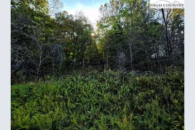 Lot 31 Riverstone, Laurel Springs, NC 28644 - Photo 2