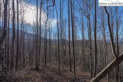 Tbd N US Hwy 421, Zionville, NC 28698 - Photo 20