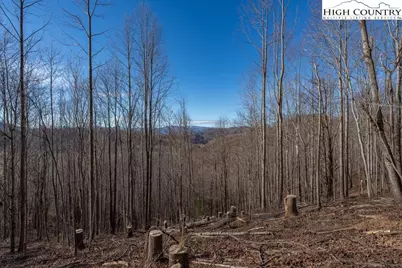 Tbd N US Hwy 421, Zionville, NC 28698 - Photo 18