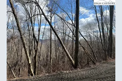 Lot 7 Woodfern Way, Todd, NC 28684 - Photo 50