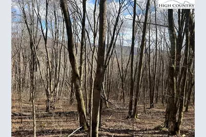 Lot 7 Woodfern Way, Todd, NC 28684 - Photo 48