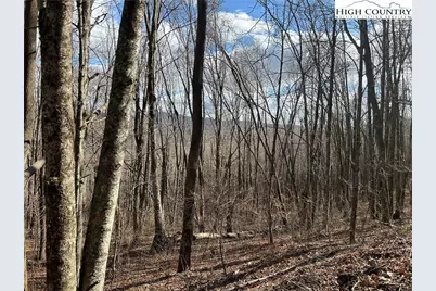 Lot 7 Woodfern Way, Todd, NC 28684 - Photo 46