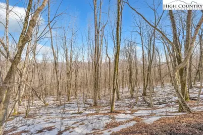 Lot 7 Woodfern Way, Todd, NC 28684 - Photo 2