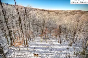 523 Pine Ridge Rd, Beech Mountain, NC 28604 - Photo 36