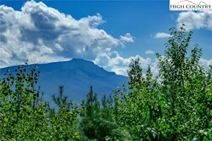 187 Hialeah Ln, Boone, NC 28607 - Photo 6