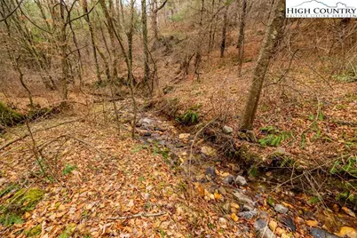 Lot #5 Alta Vista Lane, Sparta, NC 28675 - Photo 2