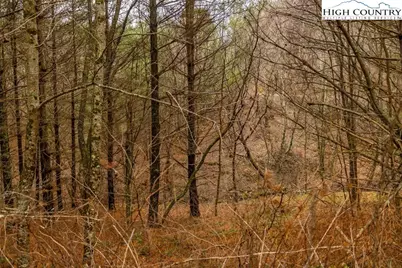 Lot #5 Alta Vista Lane, Sparta, NC 28675 - Photo 8