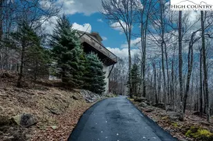 113 Aster Trail, Beech Mountain, NC 28604 - Photo 32