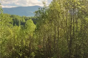 Lot 25 Tbd Lake View Dr, Elk Park, NC 28622 - Photo 1