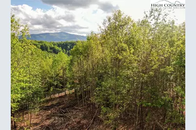 Lot 25 Tbd Lake View Drive, Elk Park, NC 28622 - Photo 4