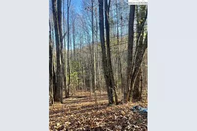 306 Marshalls Way, Jefferson, NC 28640 - Photo 14