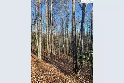 306 Marshalls Way, Jefferson, NC 28640 - Photo 4