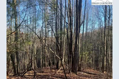 306 Marshalls Way, Jefferson, NC 28640 - Photo 2