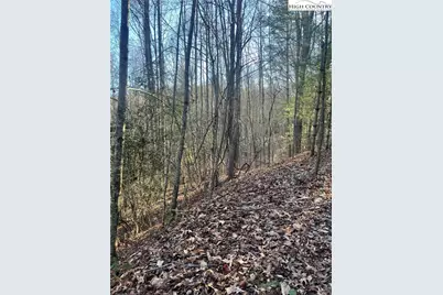 306 Marshalls Way, Jefferson, NC 28640 - Photo 12