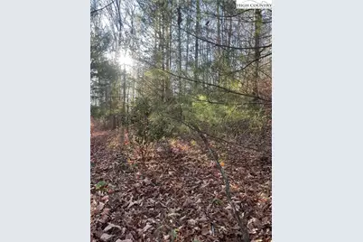 306 Marshalls Way, Jefferson, NC 28640 - Photo 12